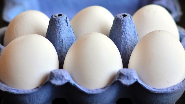 A dozen eggs in a blue carton, symbolizing California's costly cage-free mandate. A dozen eggs in a blue carton, symbolizing California's costly cage-free mandate.