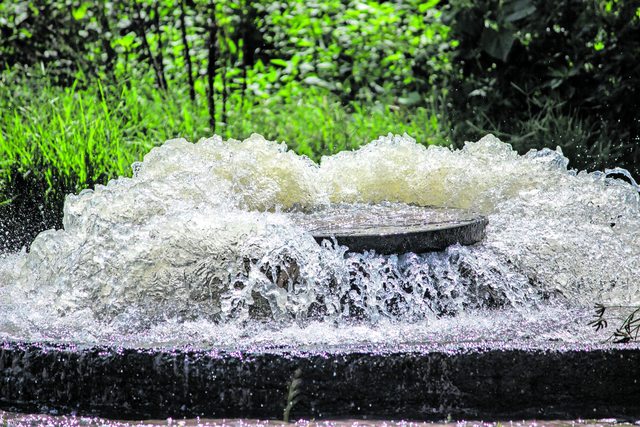 A stench of failure: The sewage overflow crisis in South Africa’s municipalities. A stench of failure: The sewage overflow crisis in South Africa’s municipalities.