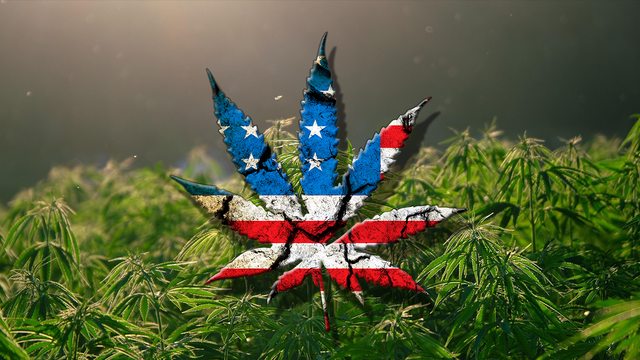 President Trump’s 2024 pledge to reschedule cannabis aligns with UK research showing it’s safer than alcohol. President Trump’s 2024 pledge to reschedule cannabis aligns with UK research showing it’s safer than alcohol.