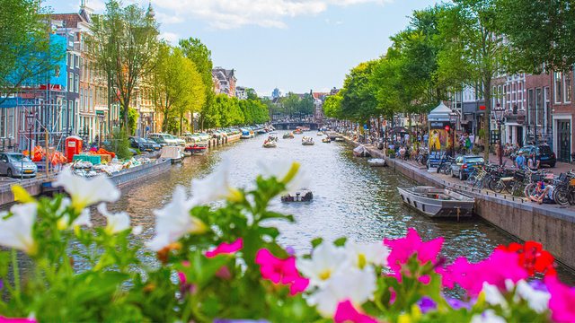 Amsterdam's iconic canals bloom with vibrancy, but the IMF warns of economic challenges ahead for the Netherlands. Amsterdam's iconic canals bloom with vibrancy, but the IMF warns of economic challenges ahead for the Netherlands.