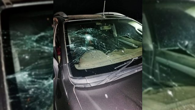 The battered vehicle of Role Uys, its windscreen shattered from her daring escape during a brutal farm attack near Carolina, South Africa. (Ian Cameron) The battered vehicle of Role Uys, its windscreen shattered from her daring escape during a brutal farm attack near Carolina, South Africa. (Ian Cameron)