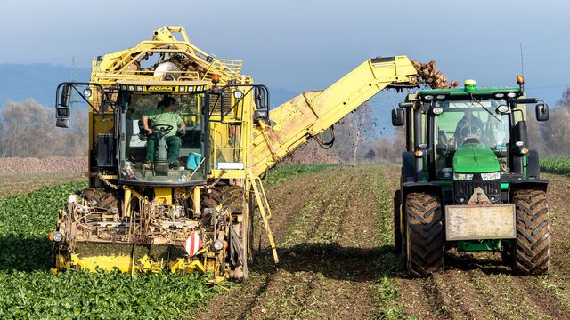 Agricultural machinery on a turnip farm. Agricultural machinery on a turnip farm.