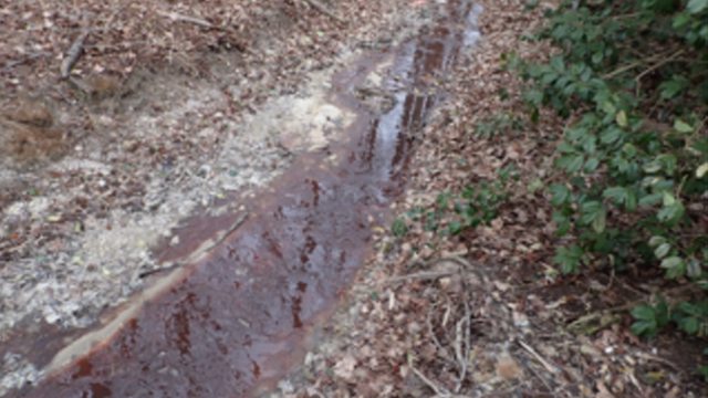 Red, unauthorized discharge leaving the southeastern portion of the Burlington Beef slaughterhouse in Monroeville, NJ. Red, unauthorized discharge leaving the southeastern portion of the Burlington Beef slaughterhouse in Monroeville, NJ.