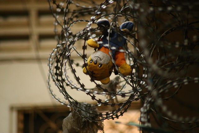 Teddy bear caught in barbwire. Teddy bear caught in barbwire.