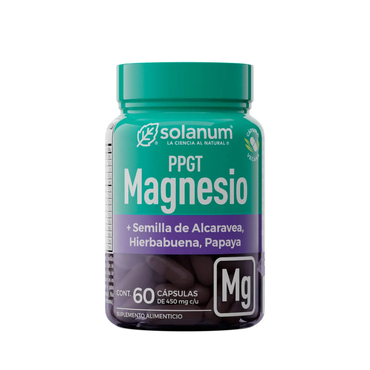 SOLANUM HB PPGT MAGNESIO 60X450MG