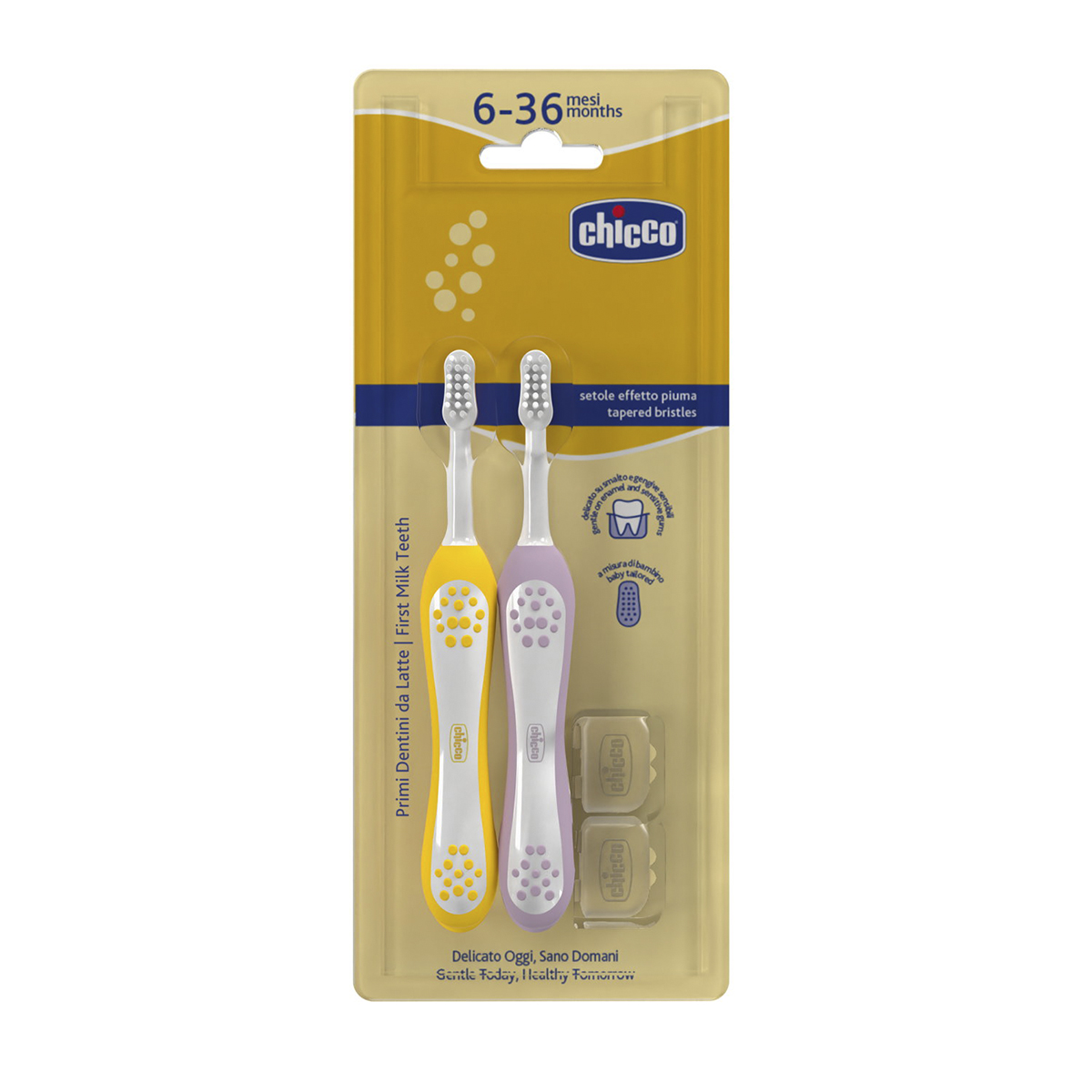 CEP DENT CHICCO LILA-AMA 6-36 MESN