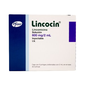 LINCOCIN 600MG JGA PREL6X2ML LINCOCIN 600MG JGA PREL6X2ML