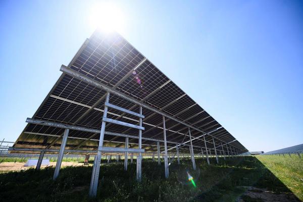 The Solar Trade Association warns’ harmful energy disability if incentives cut The Solar Trade Association warns’ harmful energy disability if incentives cut