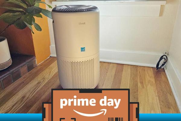 Get our favorite Air Purifier while it’s $ 37 on the main day Get our favorite Air Purifier while it’s $ 37 on the main day