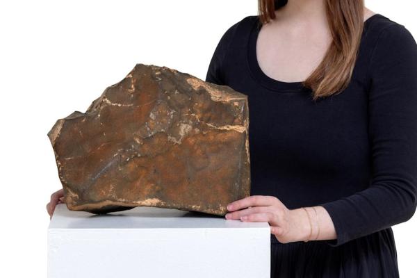 Someone pays $ 5.3 million for a piece of Mars Someone pays $ 5.3 million for a piece of Mars