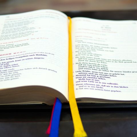 O Papa: a liturgia em risco de ser marginalizada, retorno ao centro da fé O Papa: a liturgia em risco de ser marginalizada, retorno ao centro da fé