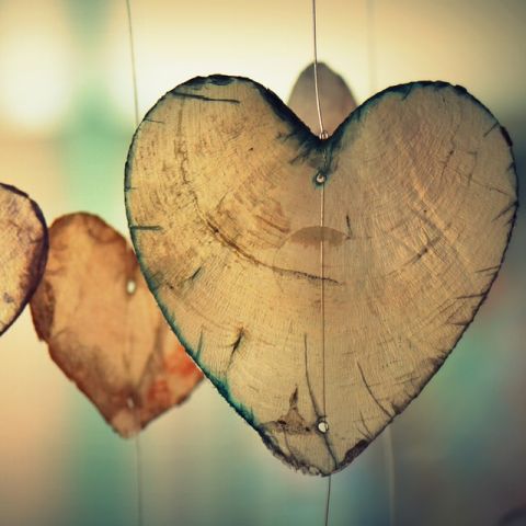 Francisco: acredite no amor, no poder do serviço, na força da gratuidade Francisco: acredite no amor, no poder do serviço, na força da gratuidade