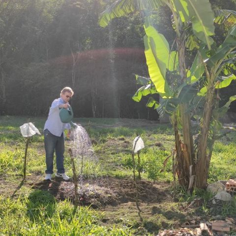 Manutenção do Terreno e convivência fraterna Manutenção do Terreno e convivência fraterna