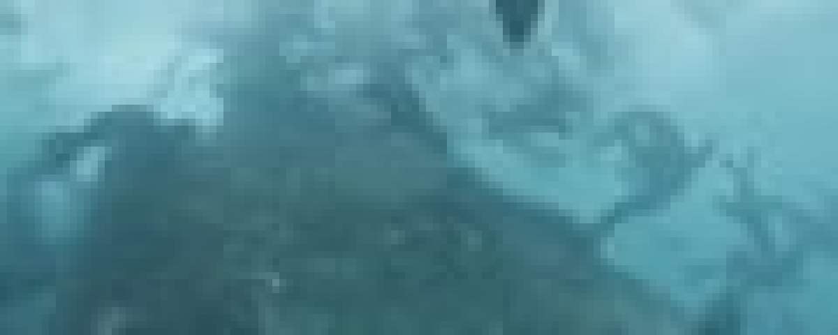 « Il y a un trésor biologique ici » : les phoques endémiques du Chili bénéficient d’une protection grâce à un nouveau parc marin | Océans « Il y a un trésor biologique ici » : les phoques endémiques du Chili bénéficient d’une protection grâce à un nouveau parc marin | Océans