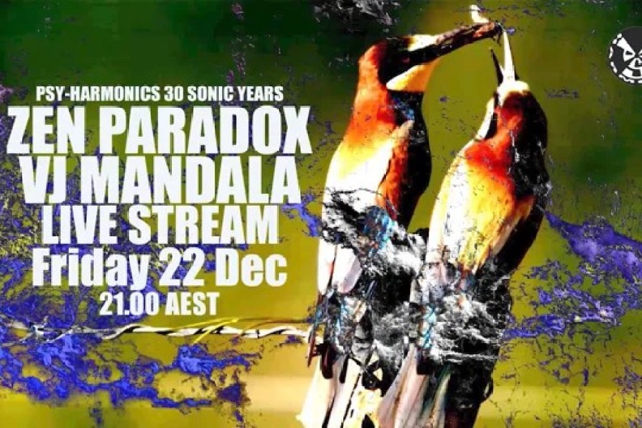 30 SONIC YEARS 30 SONIC YEARS