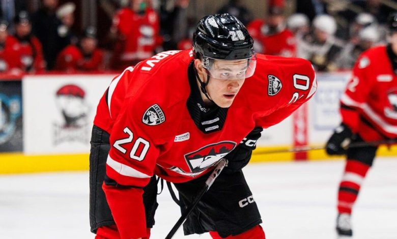 Black Panther Ink Puljujärvi in the remaining seasons | theahl.com Black Panther Ink Puljujärvi in the remaining seasons | theahl.com