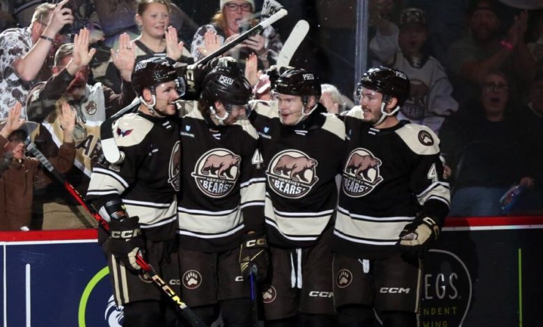After the historical run, the bear holds his head high. theahl.com After the historical run, the bear holds his head high. theahl.com