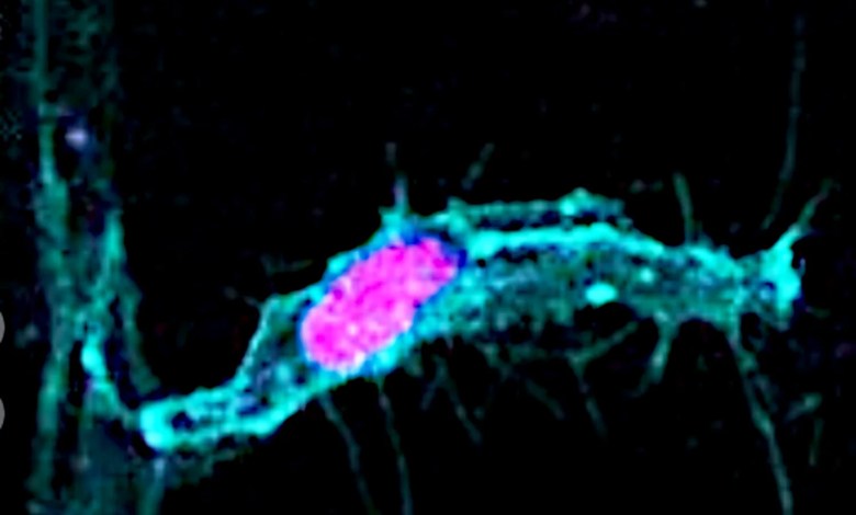 What you know about the cell sector may be wrong What you know about the cell sector may be wrong