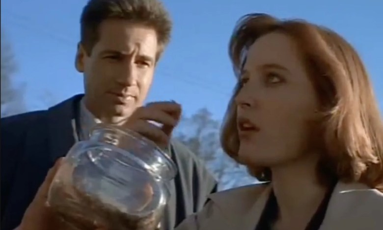 Remember the perfect blend of comedy, poignant and distant 90s culture, the perfect blend of X-Files Remember the perfect blend of comedy, poignant and distant 90s culture, the perfect blend of X-Files