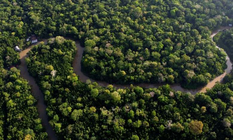 Countries have reached 0 billion to protect nature. The United States has not participated Countries have reached 0 billion to protect nature. The United States has not participated