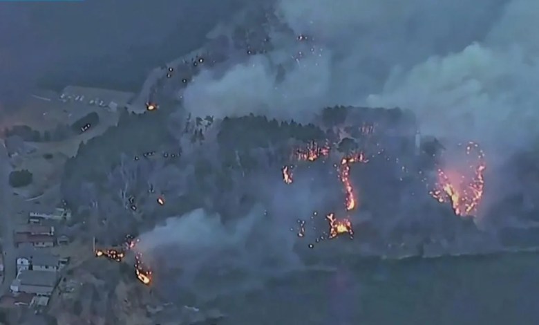 Japan fights forest fires that force hundreds of people to evacuate Japan fights forest fires that force hundreds of people to evacuate