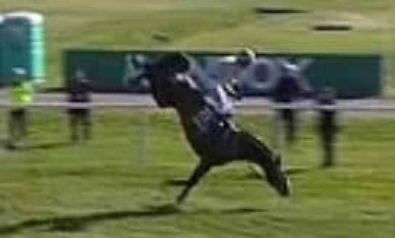 Big Broadway boys come home after falling down in big country horror, racing breathes Big Broadway boys come home after falling down in big country horror, racing breathes