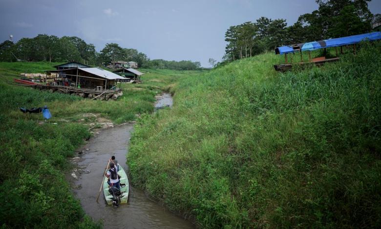 Colombia gains regional leadership in the field of indigenous autonomy, increasing hope for Amazon protection Colombia gains regional leadership in the field of indigenous autonomy, increasing hope for Amazon protection