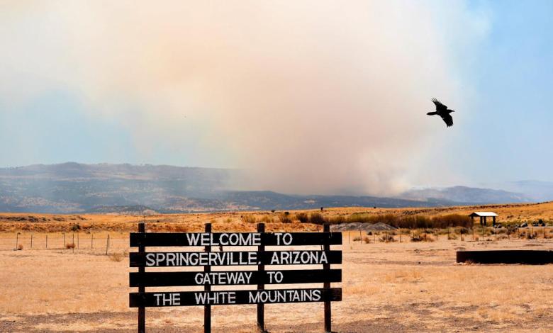 In Eastern Arizona, Greer Fire Charred Over 20,000 Acres: What to Know In Eastern Arizona, Greer Fire Charred Over 20,000 Acres: What to Know
