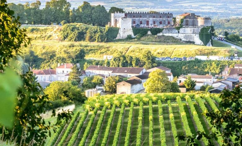 In France, cognac is more than the famous brandy In France, cognac is more than the famous brandy