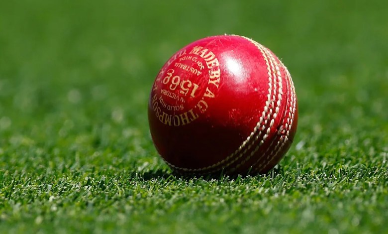 Top Malawi Malawi official dies after 'ruthless violence' Top Malawi Malawi official dies after 'ruthless violence'