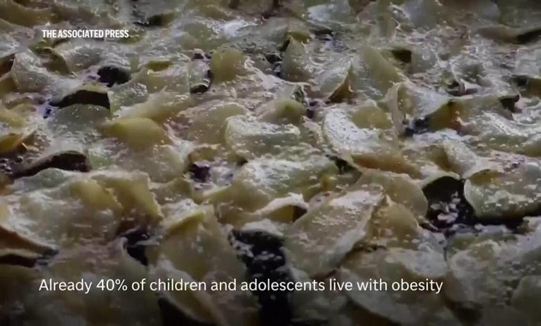 Mexico bans junk food sales in schools targeting obesity in children in the latest Salvo Mexico bans junk food sales in schools targeting obesity in children in the latest Salvo