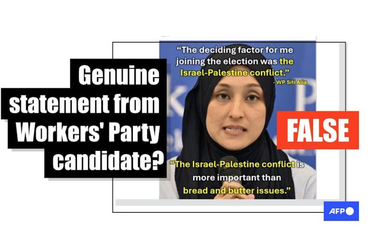 Singapore opposition candidate misunderstood online ahead of poll Singapore opposition candidate misunderstood online ahead of poll