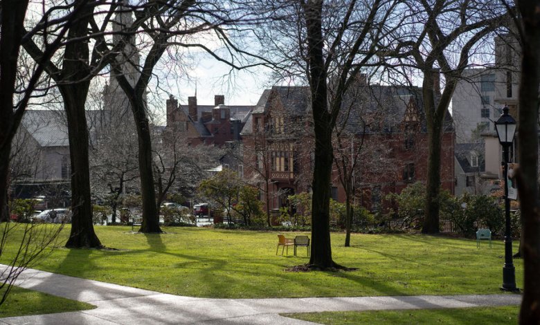 Brown University professor and doctor was deported to Lebanon despite the judge's order Brown University professor and doctor was deported to Lebanon despite the judge's order