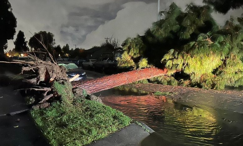 Tornado reported in the Los Angeles area as a storm hit in California Tornado reported in the Los Angeles area as a storm hit in California