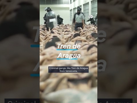 Is Trump’s ‘war’ on drugs in the Caribbean legal? | DW News Is Trump’s ‘war’ on drugs in the Caribbean legal? | DW News