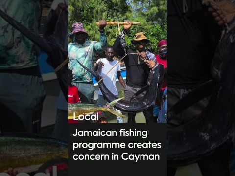 Headlines: 7 April 2025 Headlines: 7 April 2025