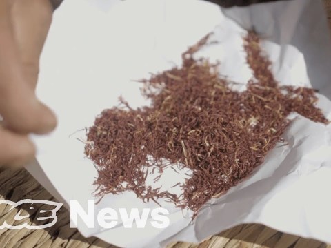 The Most Expensive Spice In the World Comes From Kashmir The Most Expensive Spice In the World Comes From Kashmir