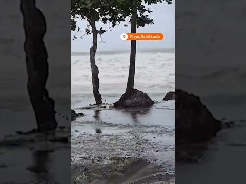 Hurricane Beryl inundates eastern Caribbean | REUTERS Hurricane Beryl inundates eastern Caribbean | REUTERS