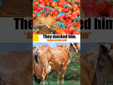 #southafrica #africarising #burkinafaso #africa #jamaica #namibia #nigeria #shorts #kenya #southafrica #africarising #burkinafaso #africa #jamaica #namibia #nigeria #shorts #kenya