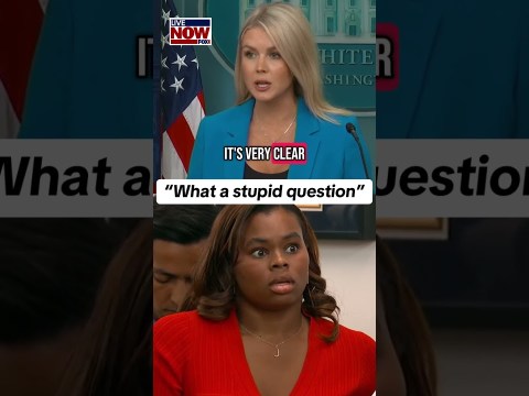 “What a stupid question” on force used against protesters says White House Karoline Leavitt “What a stupid question” on force used against protesters says White House Karoline Leavitt