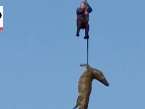 South African police hoist crocodile out of river to recover human remains South African police hoist crocodile out of river to recover human remains