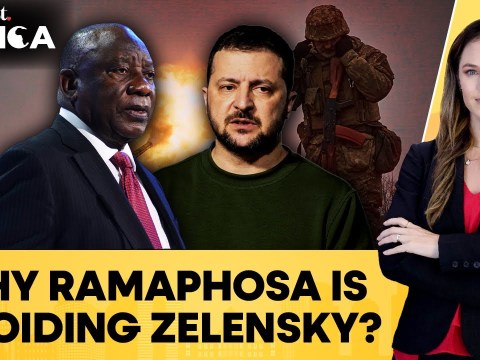 Ukraine Says Zelensky to Visit South Africa, Pretoria Says No Formal Invite Yet | N18G Ukraine Says Zelensky to Visit South Africa, Pretoria Says No Formal Invite Yet | N18G