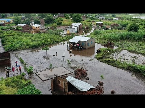 Mozambique: crocodiles appear in towns amid floods Mozambique: crocodiles appear in towns amid floods