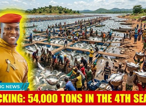 54,000 Tons in 4th Season: Ibrahim Traoré’s Floating Cage Fish Project Makes History in Burkina Faso 54,000 Tons in 4th Season: Ibrahim Traoré’s Floating Cage Fish Project Makes History in Burkina Faso