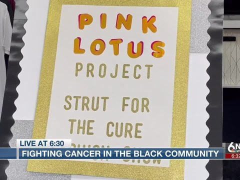 Omaha group helping to fight cancer in the Black community Omaha group helping to fight cancer in the Black community