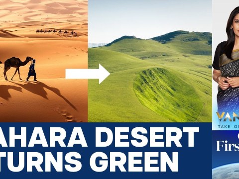 Sahara Turns Green: Should we Celebrate or Worry? | Vantage with Palki Sharma Sahara Turns Green: Should we Celebrate or Worry? | Vantage with Palki Sharma