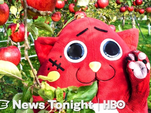Nyango Star: The Heavy Metal Cat Mascot Saving A Japanese Farm (HBO) Nyango Star: The Heavy Metal Cat Mascot Saving A Japanese Farm (HBO)