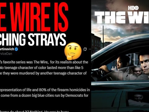 Daniel Martinovich Failed Attempt At Rage Baiting Black People Daniel Martinovich Failed Attempt At Rage Baiting Black People