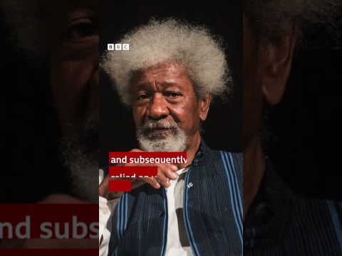 Soyinka: ‘Donald Trump is a petty-minded dictator’ – BBC Africa Soyinka: ‘Donald Trump is a petty-minded dictator’ – BBC Africa