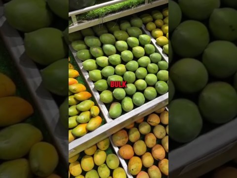 Ibrahim Traore Mango juice Company Ibrahim Traore Mango juice Company